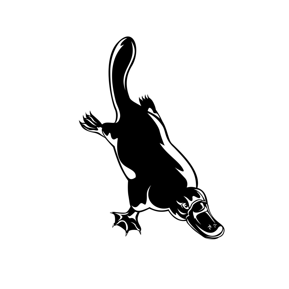 Retro woodcut style illustration of a duck-billed platypus Ornithorhynchus anatinus, a semiaquatic egg-laying mammal endemic to eastern Australia diving down on isolated background in black and white.. Duck-Billed Platypus Ornithorhynchus Anatinus Diving Retro Woodcut Black and White