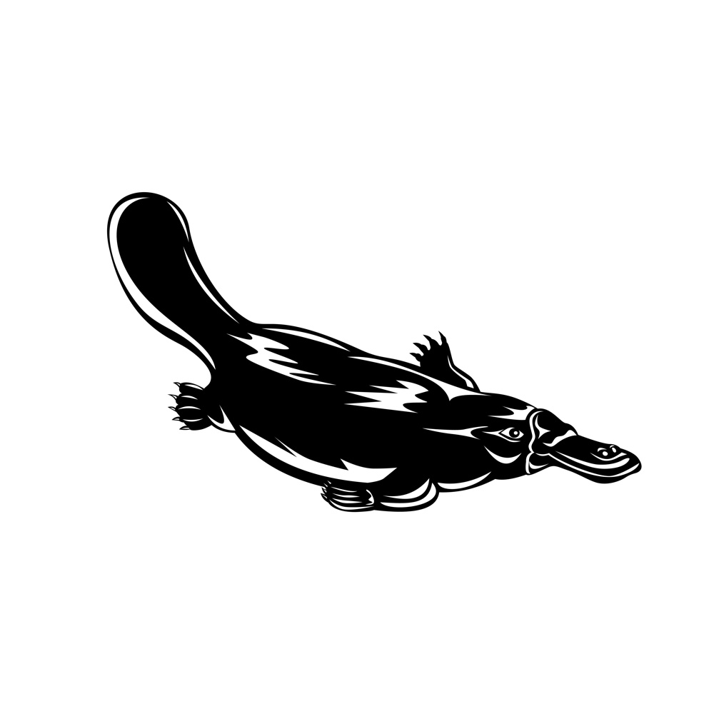 Retro woodcut style illustration of a duck-billed platypus Ornithorhynchus anatinus, a semiaquatic egg-laying mammal endemic to Australia swimming down isolated background done in black and white.. Duck-Billed Platypus Ornithorhynchus Anatinus  Swimming Down Retro Woodcut Black and White