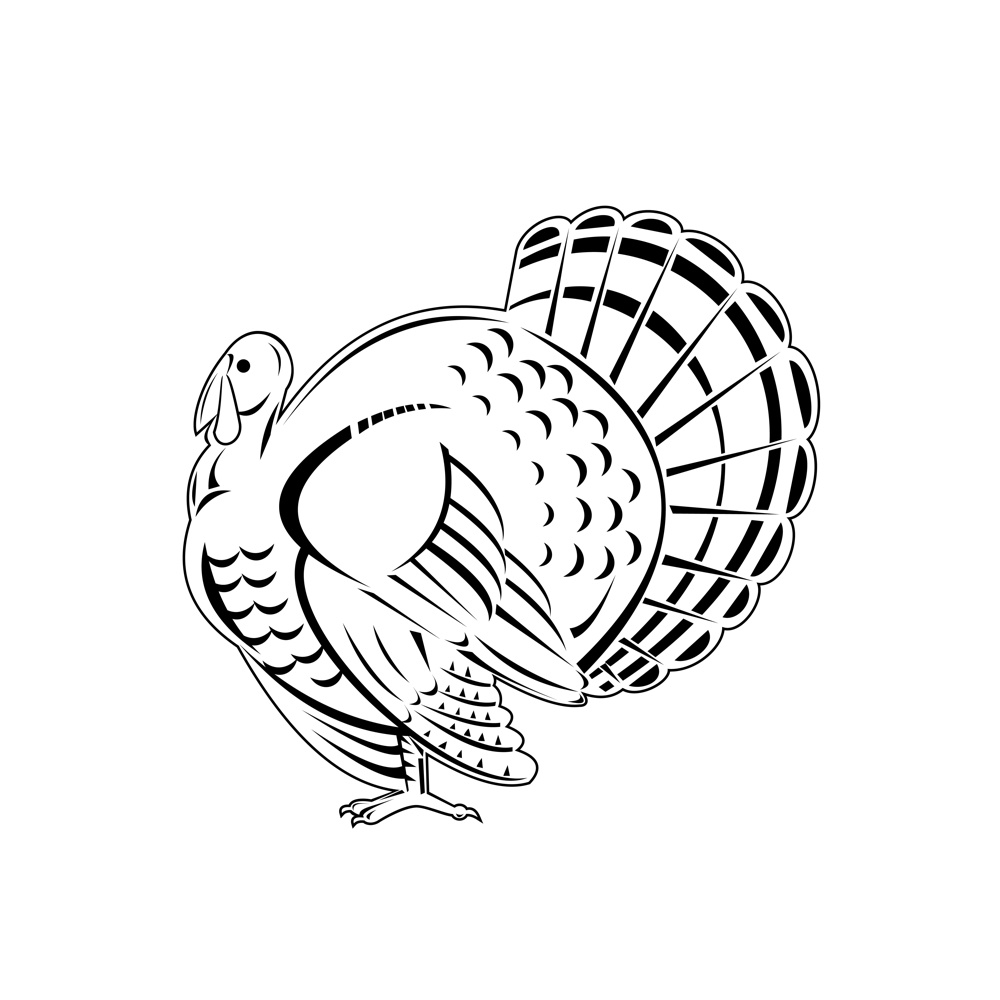 Retro woodcut style illustration of a wild turkey is a large bird in the genus meleagris, which is native to the Americas viewed from side isolated background done in black and white.. Wild Turkey a Large Bird in the Genus Meleagris Iewed from Side Retro Woodcut Black and White