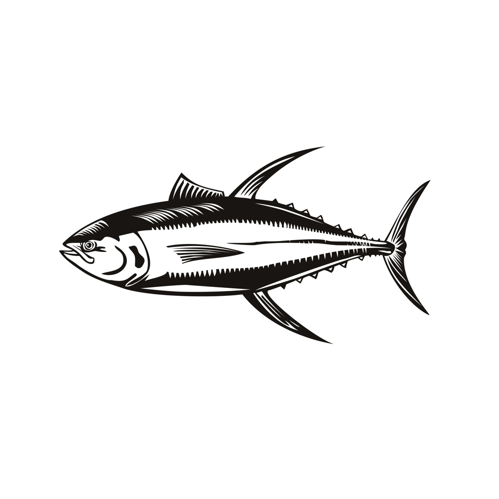 Retro woodcut style illustration of a yellowfin tuna thunnus albacares, a species of tuna found in pelagic waters of tropical and subtropical oceans on isolated background done in black and white.. Yellowfin Tuna or Thunnus Albacares Swimming Side Retro Woodcut Black and White