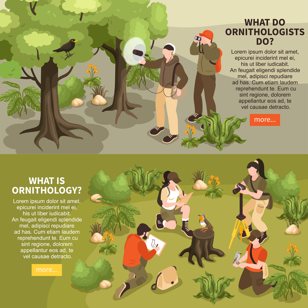 Ornithologists conducting field research studying birds songs and physical appearance 2 isometric horizontal web banners vector illustration