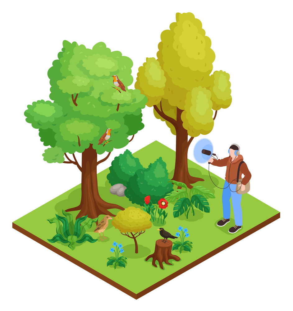 Ornithologist conducting field research collecting birds sounds recording with with specialized equipment isometric composition vector illustration