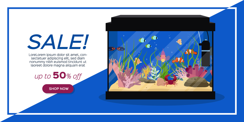 Flat horizontal banner with decorated fish aquarium on sale vector illustration