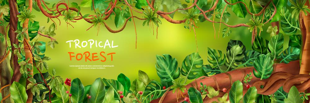 Realistic liana jungle horizontal poster with editable text and frame with exotic trees leaves and flowers vector illustration