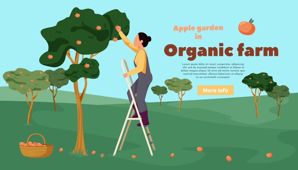 Organic farm flat background with outdoor landscape trees and woman gathering apples in garden with text vector illustration