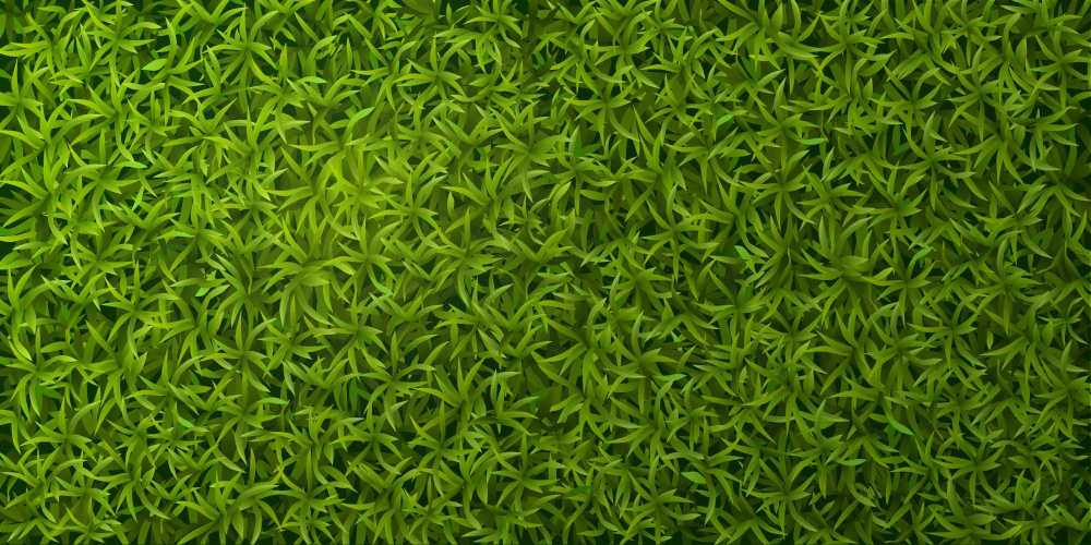 Green grass realistic top view spring lawn ground cover natural seamless pattern banner background vector illustration. Green Grass Realistic Background