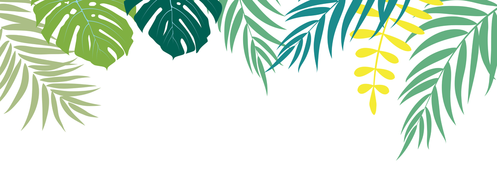 Beautifil Palm Tree Leaf  Silhouette Background Vector Illustration EPS10. Beautifil Palm Tree Leaf  Silhouette Background Vector Illustration