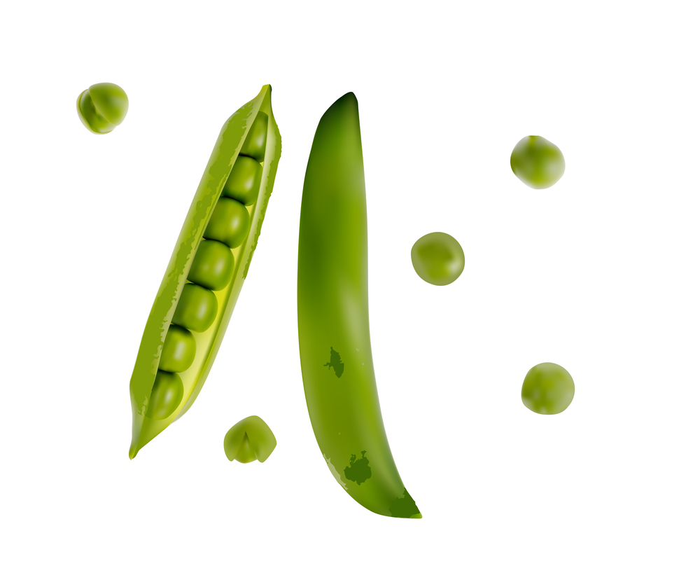 Colorful realistic 3D pod of ripe green peas isolated on white background. Vector Illustration. EPS10. Colorful realistic 3D pod of ripe green peas isolated on white background. Vector Illustration