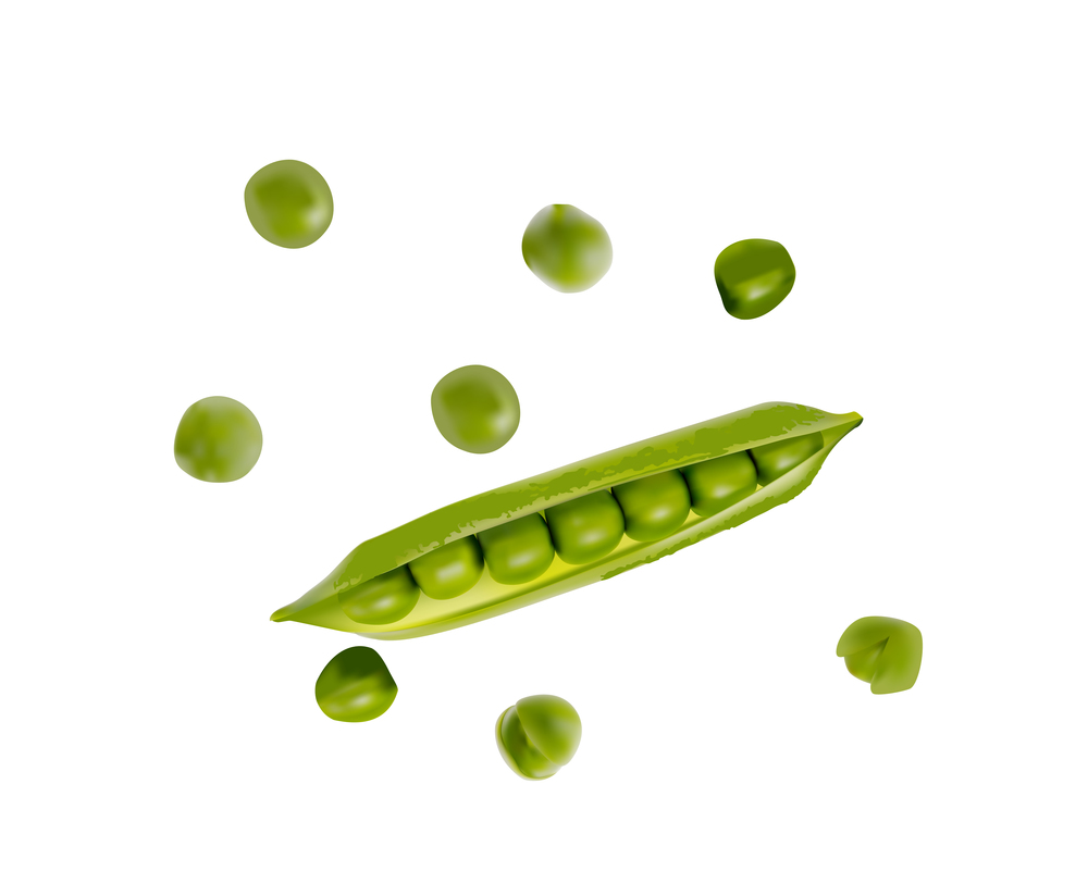 Colorful realistic 3D pod of ripe green peas isolated on white background. Vector Illustration. EPS10. Colorful realistic 3D pod of ripe green peas isolated on white background. Vector Illustration