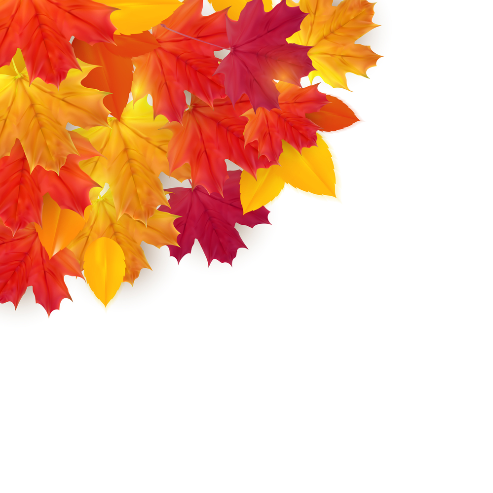 Shiny Autumn Natural Leaves Background. Vector Illustration EPS10
. Shiny Autumn Natural Leaves Background. Vector Illustration