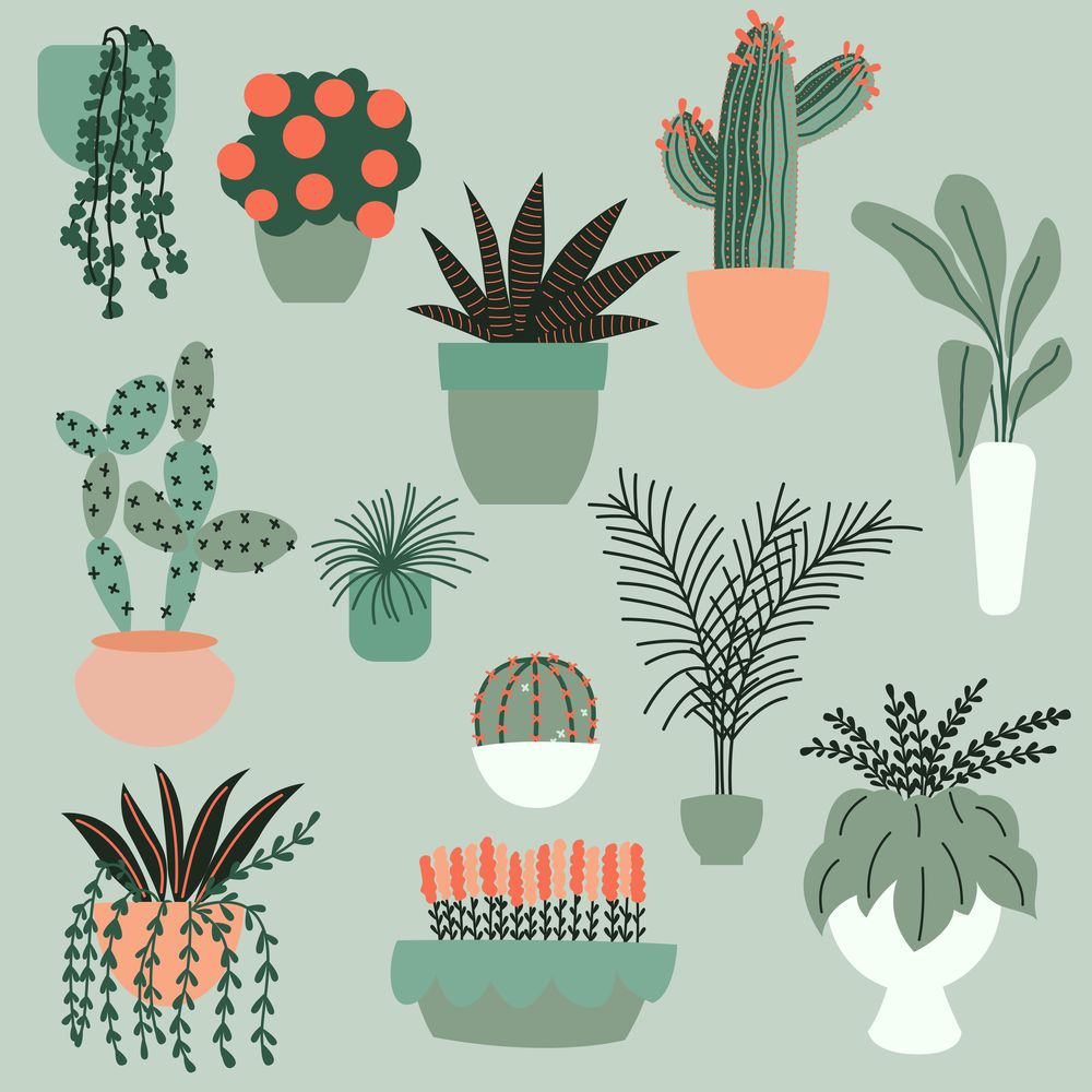 Collection of hand drawn indoor house plants. Collection of potted plants. Colorful flat vector illustration