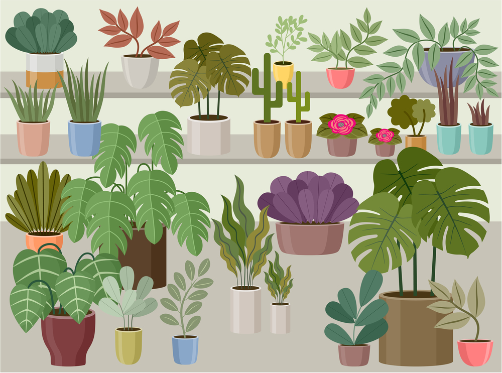 Flower and home plant store. Vector Illustration
