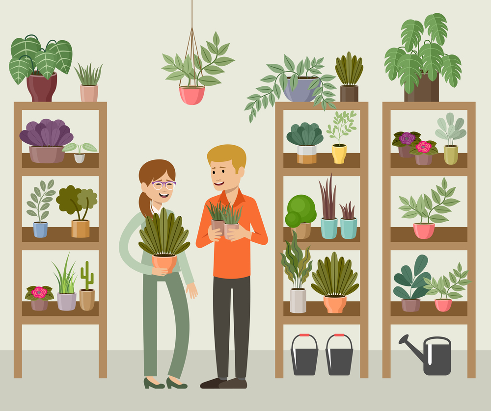 Flower and Home Plant Store. Vector illustration
