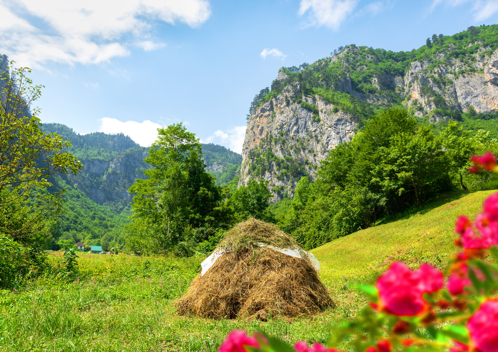 Meadow and haystack among the mountains of Montenegro. Meadow and haystack