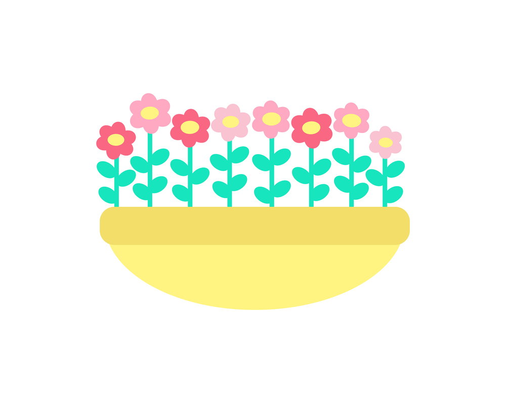 Daisies grow in clay pot vector isolated. Spring pink and red color flowers with green stems and leaves, growing in ground or sand, springtime elements. Daisies Grown in Clay Pot Vector Spring Flowers