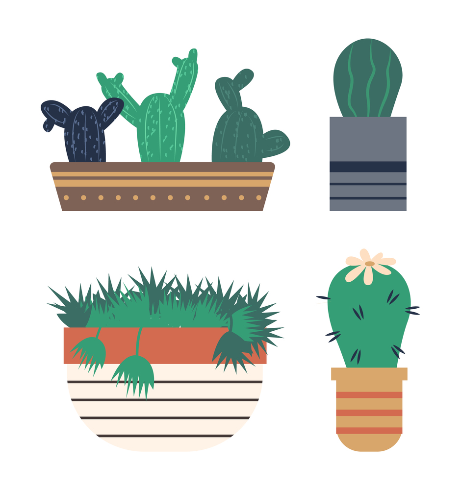 Potted plant with thorns vector, cactus with flower blooming, large flowering on top of cacti. Pot with lines, botanical decor for home houseplants. Cactus with Flowering, Flower on Green Plant in Pot