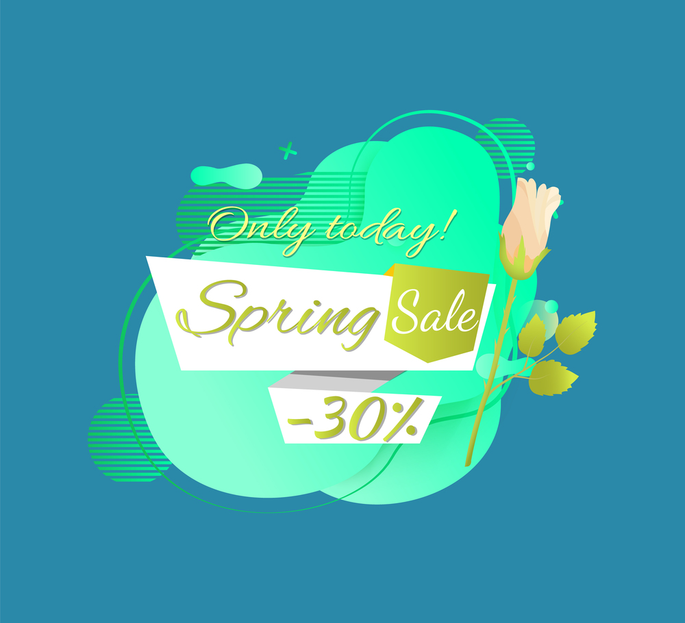 Spring sale promo label 30 percent off, only today best price and white rose flower isolated. Vector springtime discount tag with bud and abstract liquid shape. Spring Sale Promo Label 30 Percent Off, Only Today