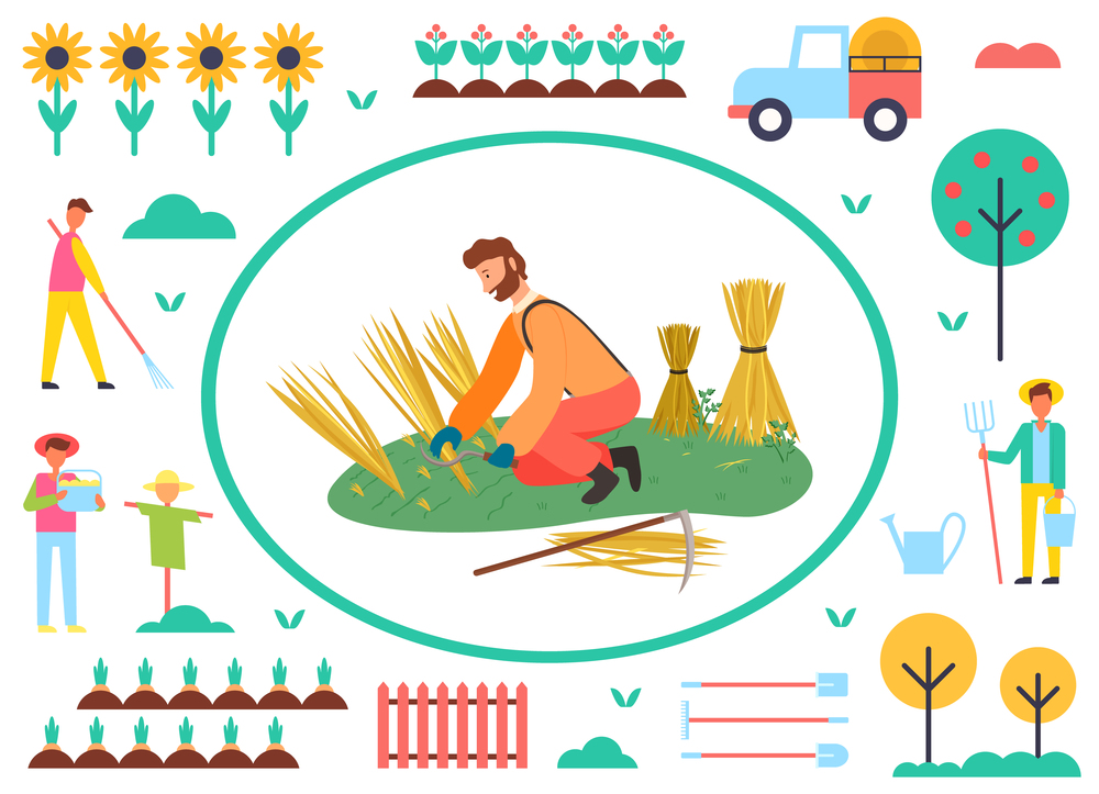Wheat harvesting vector, agriculture and farming, farmer working on field, scarecrow and tree with ripe fruits, male with instruments on farm and plantation. Harvesting Season, Man Working on Field Wheat