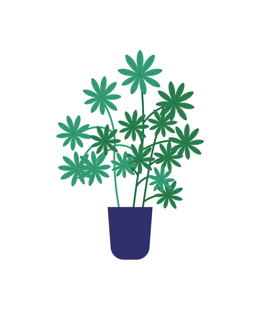 Floral with leaves and fresh greenery foliage potted evergreen plant. Houseplant growing in container for flowers vector, decoration for home, flat style. House Plant, Shrubs Growing from Ground Isolated