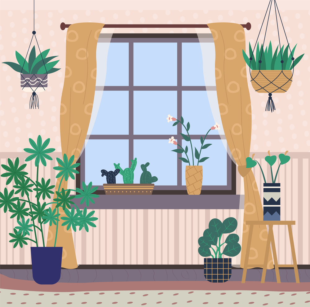 Greenhouse with plants on shelves vector, room interior filled with flora in pots. Window with curtains, bright space for flowers, orangery conservatory. Room Interior, Home Chamber with Plants Greenhouse