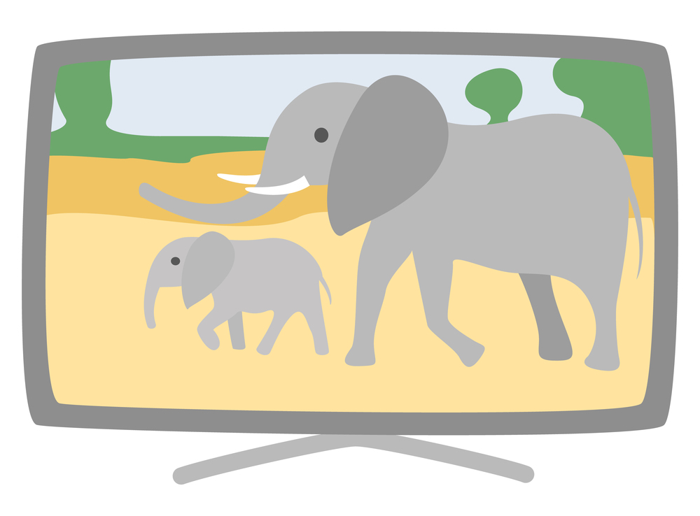 Plasma TV-set with broad screen isolated on white screen vector illustration, broadcasting modern device, flat cartoon television icon, showing elephants. Plasma Broad TV-Set Vector Elephants on Screen