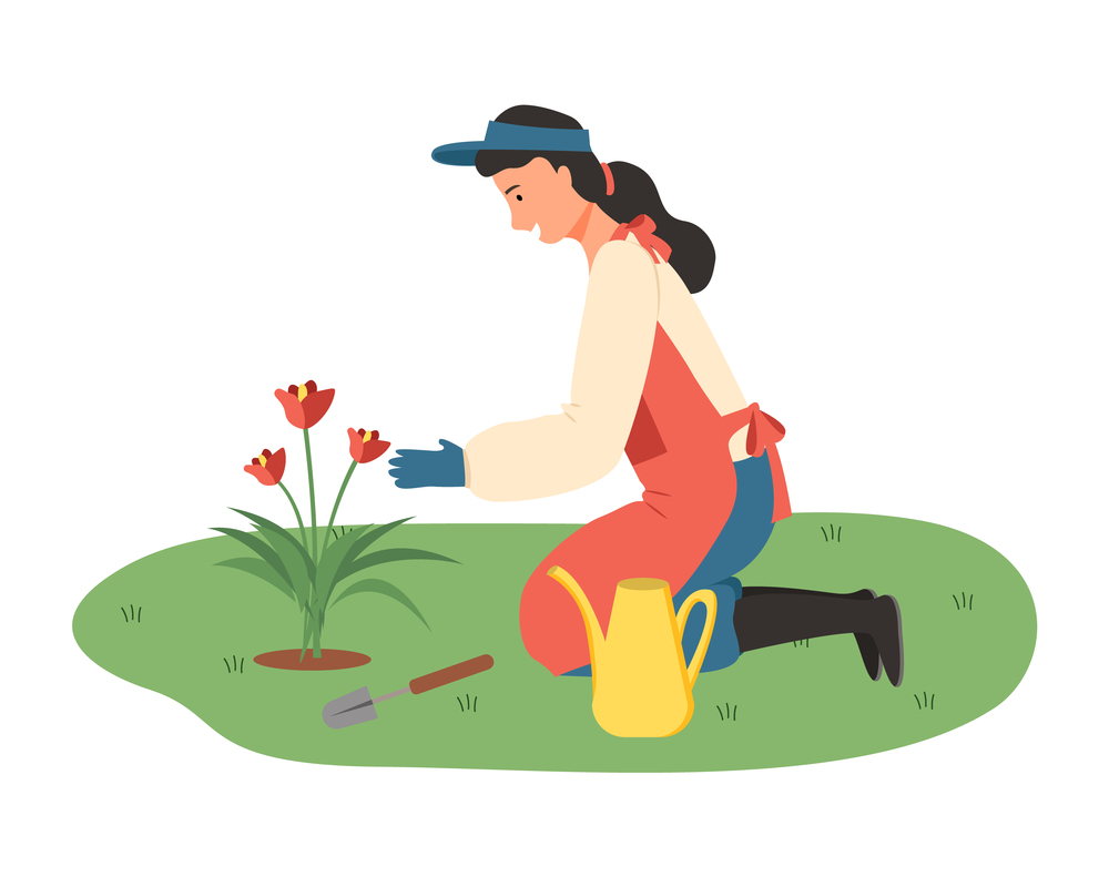 Lady gardening vector, farming lady with tools and instruments, watering can flat style. Woman growing plants blooming flora flourishing flora isolated. Farming Woman in Garden with Flowers and Tools