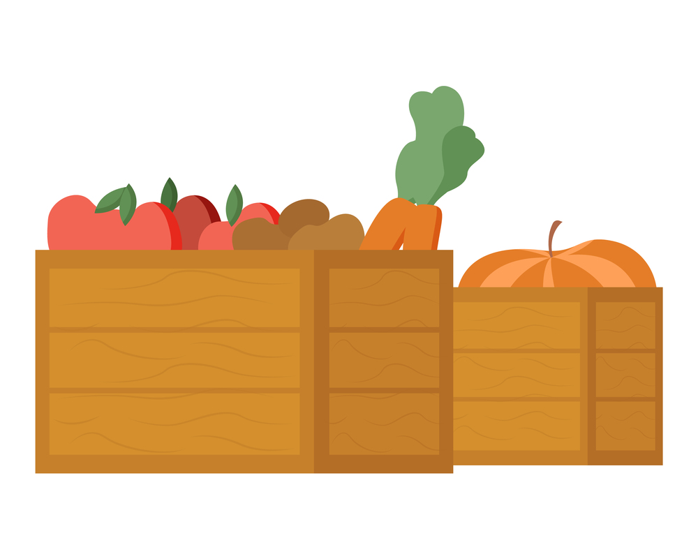 Food in wooden containers vector, agriculture and gathering culture, pumpkin and carrots, apple tomatoes isolated meal in boxes, harvesting season. Healthy Ingredients, Harvested Veggies in Boxes