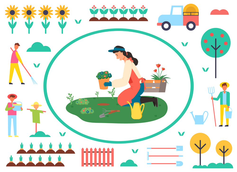 Woman planting flowers vector, farmer in frame, tractor and tree with apples, male with rake, sunflower plantation and fence, scarecrow farming. Farming Woman Planting Flowers Plantation Vector
