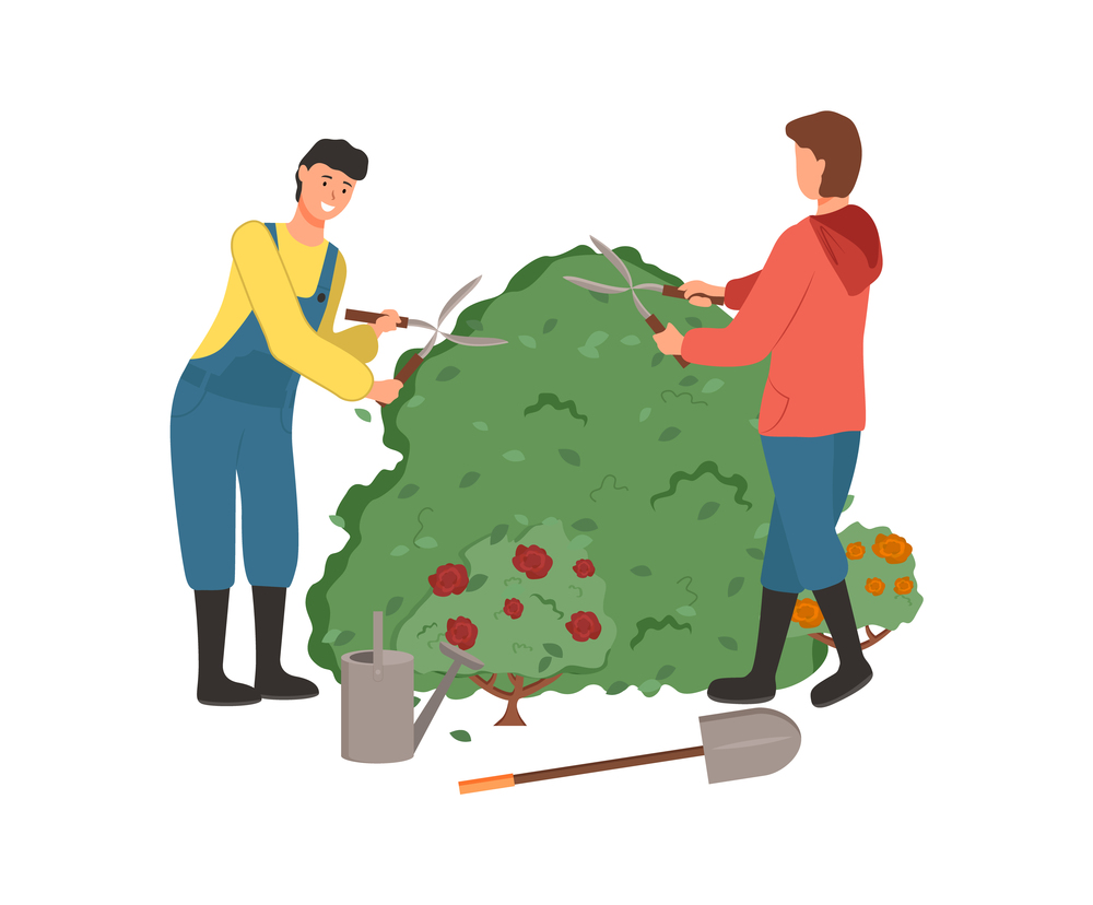 Man and woman tending bushes vector, people cutting flora with special gardening scissors, roses and flowering plant with foliage and frondage isolated. Farming People Man and Woman Cutting Bushes Vector