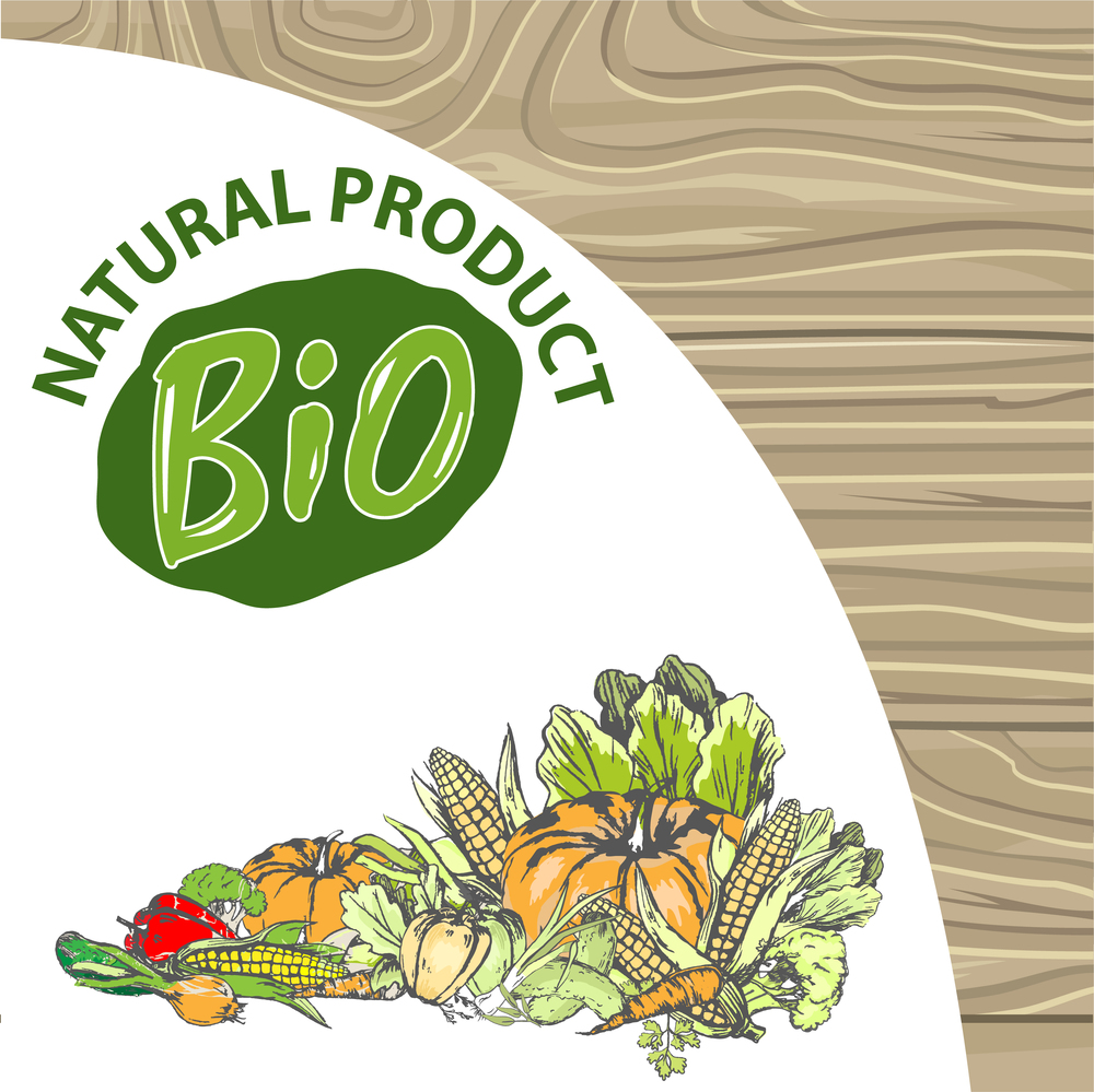 Natural products vector, bio food harvesting banner, corn and pepper, foliage and carrot pumpkin and onion meal fresh harvest organic fruits veggies. Logo of bio products on wood background. Natural Product Bio Ingredients Pumpkin and Pepper