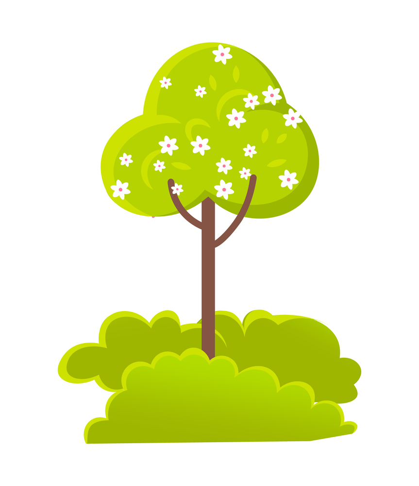 Tree with flowers and bush, growth plant, wood with green leaves and blossom, forest or garden element, botanical symbol, floral decoration vector. Green Plant, Tree with Flowers, Bushes Vector