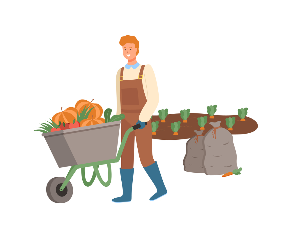 Farming man pushing wheelbarrow vector, male working on harvesting season, farmer on plantation of carrots, bags with ripe fruits and vegetables flat style. Farmer Harvesting on Field Pumpkins in Cart Vector