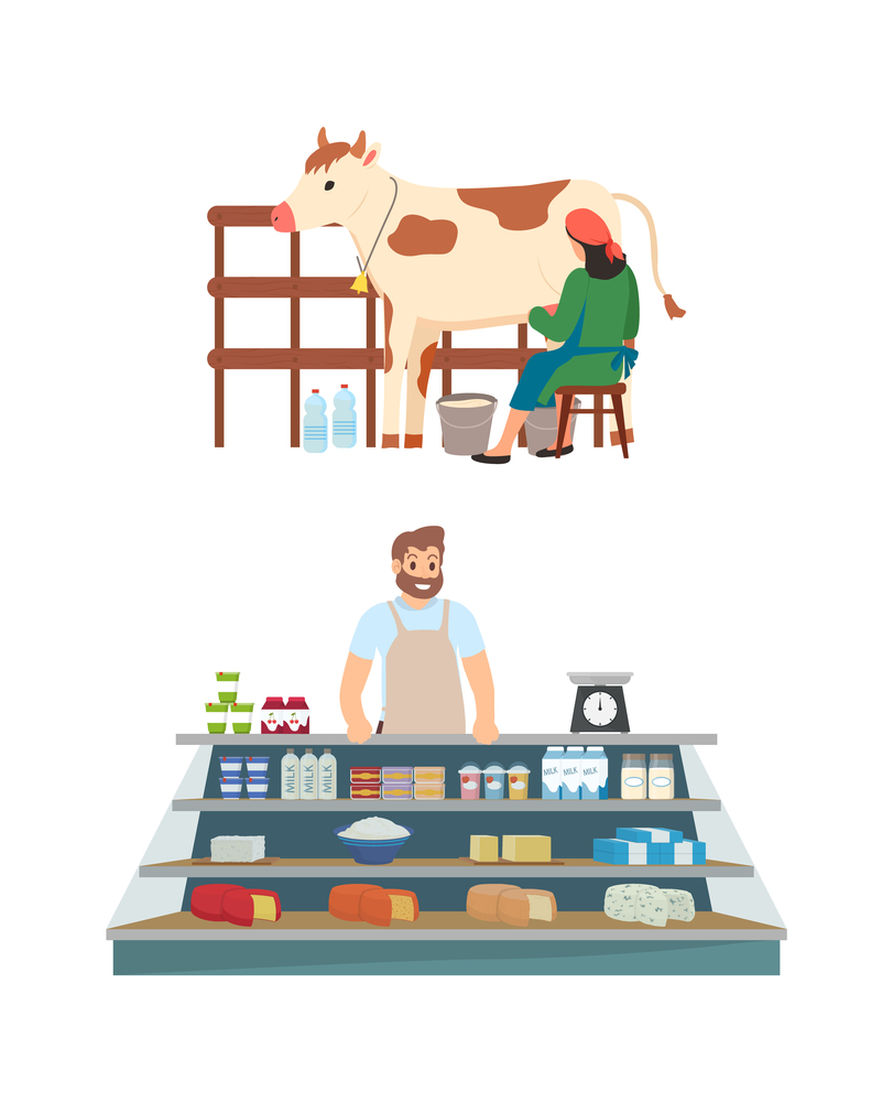 Process of milk production vector, milkmaid with cow and bottles on farm isolated person selling diary products cheese and ingredients on shelves. Milkmaid with Cow, Seller Market with Production