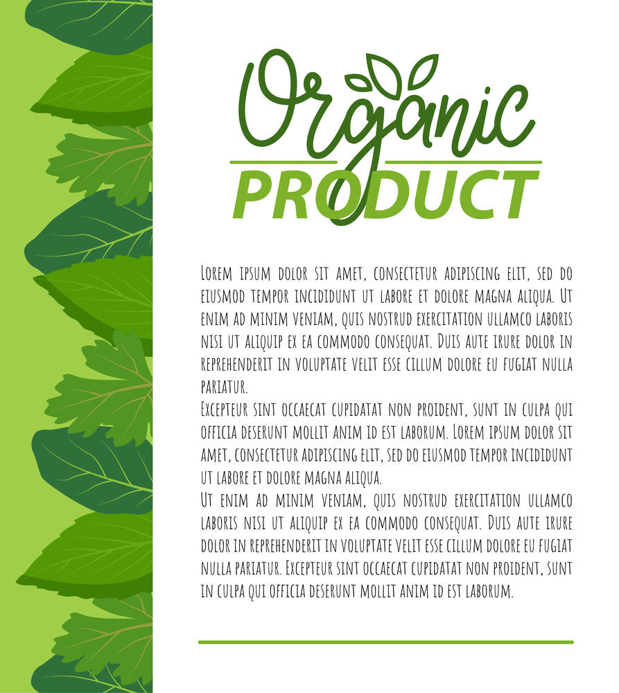 Organic product, natural nutrition food simple label on poster with text sample. Vector greenery, leaves or herbs, web page template with frame of greenery. Organic Product Natural Nutrition Food on Poster