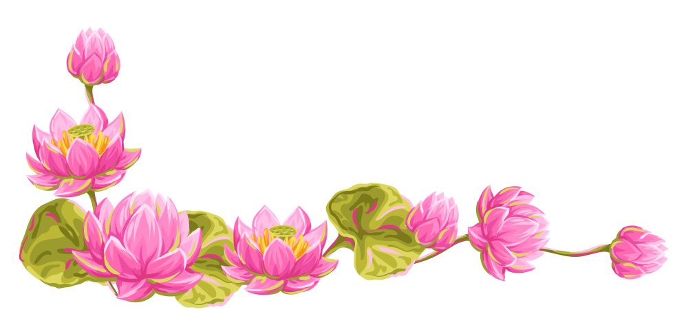 Decorative element with lotus flowers. Water lily illustration. Natural tropical plants.. Decorative element with lotus flowers. Water lily illustration.
