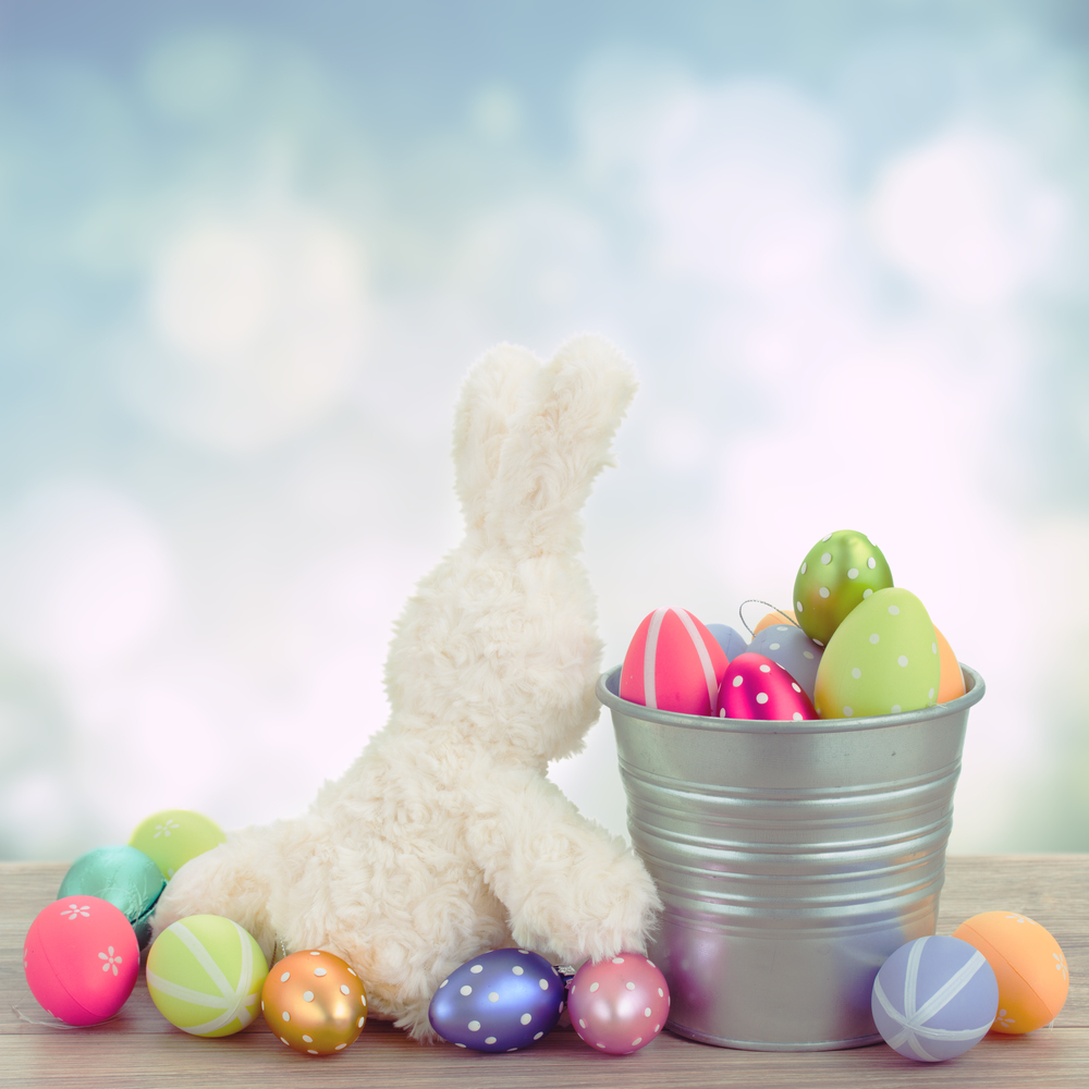 easter rabbit  with metal pot full of  eggs on  blue background. egg hunt with easter bunny