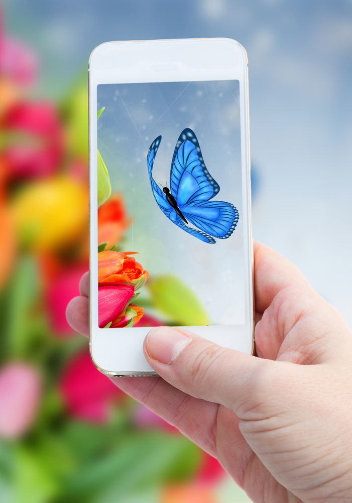 Woman hand taking picture of blue  butterfliy with  smart phone against summer flowers  background. taking picture with  smart phone against summer  background