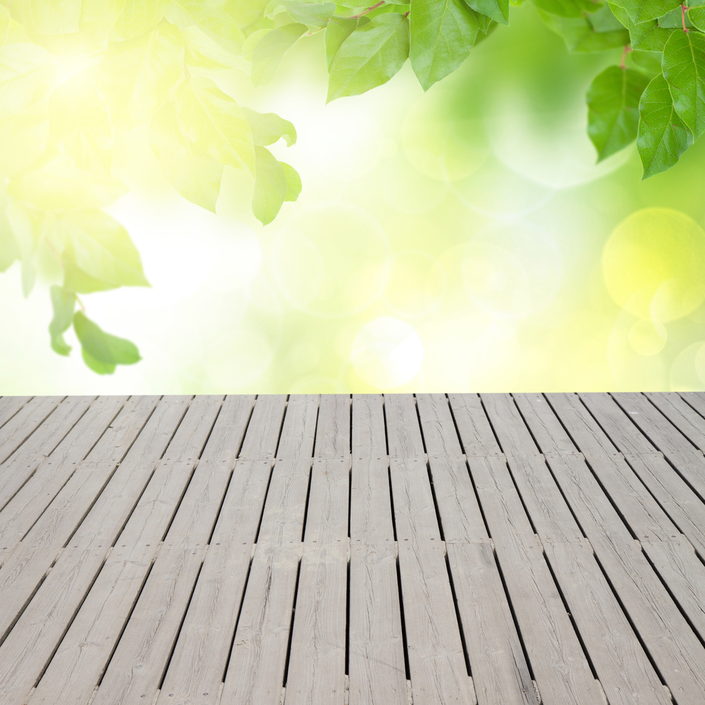 green  leaves at sunny day with wooden planks. green  leaves at sunny day