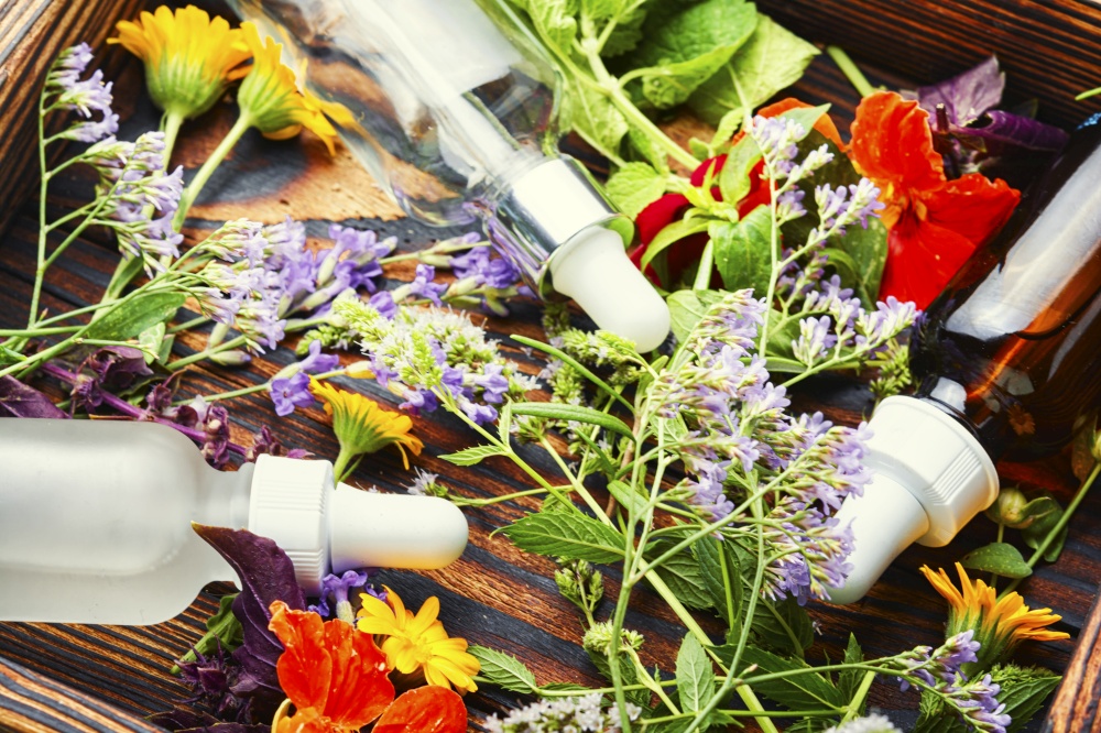 Natural medicine concept.Bottles of tincture and healthy herbs and flowers. Essential oils with herbs and flowers