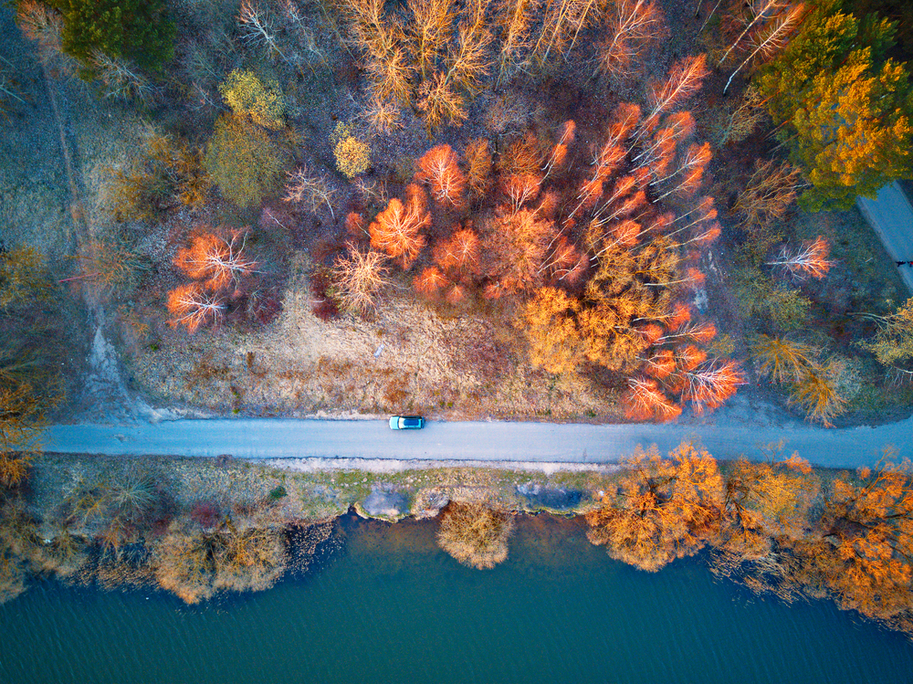 Lakeside with colorful trees in spring sunlight. Car on a road, recreation zone top aerial view. April evening at the lake near Minsk, Belarus. Beautiful sunset panoramic scene.