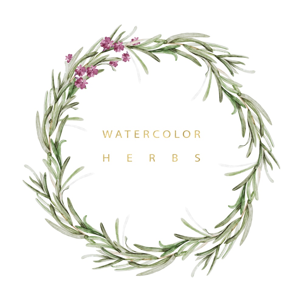 Watercolor wreath with herbs rosemary.