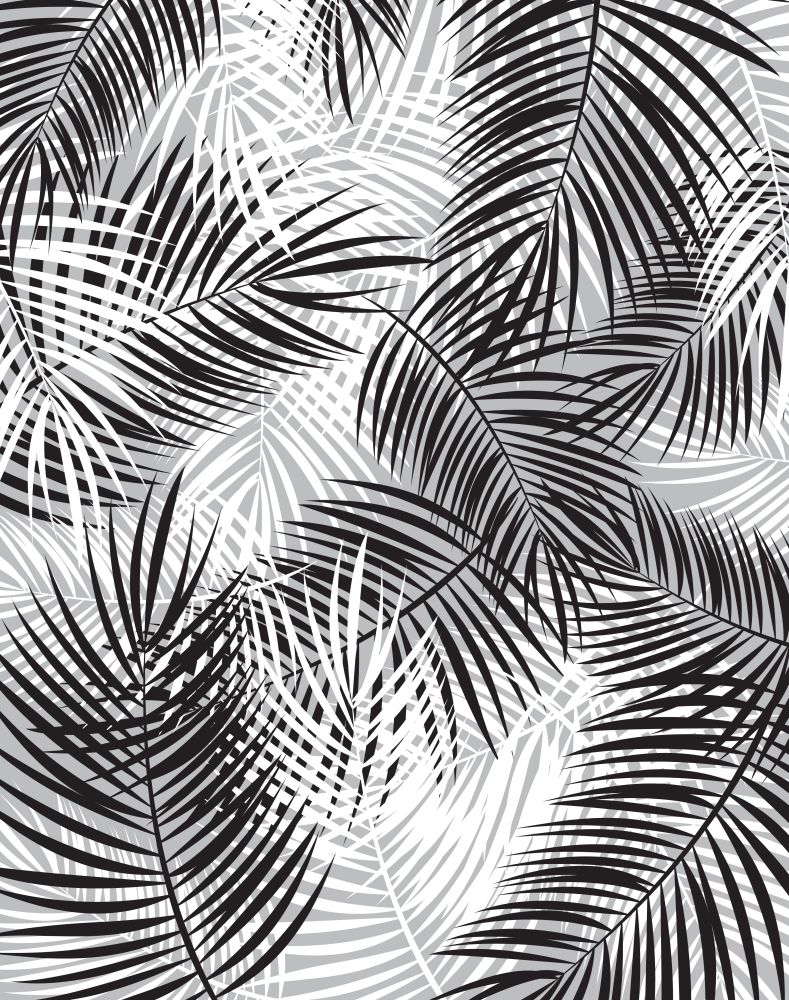 Black and White Palm Leaf Vector Background Illustration EPS10. Black and White Palm Leaf Vector Background Illustration