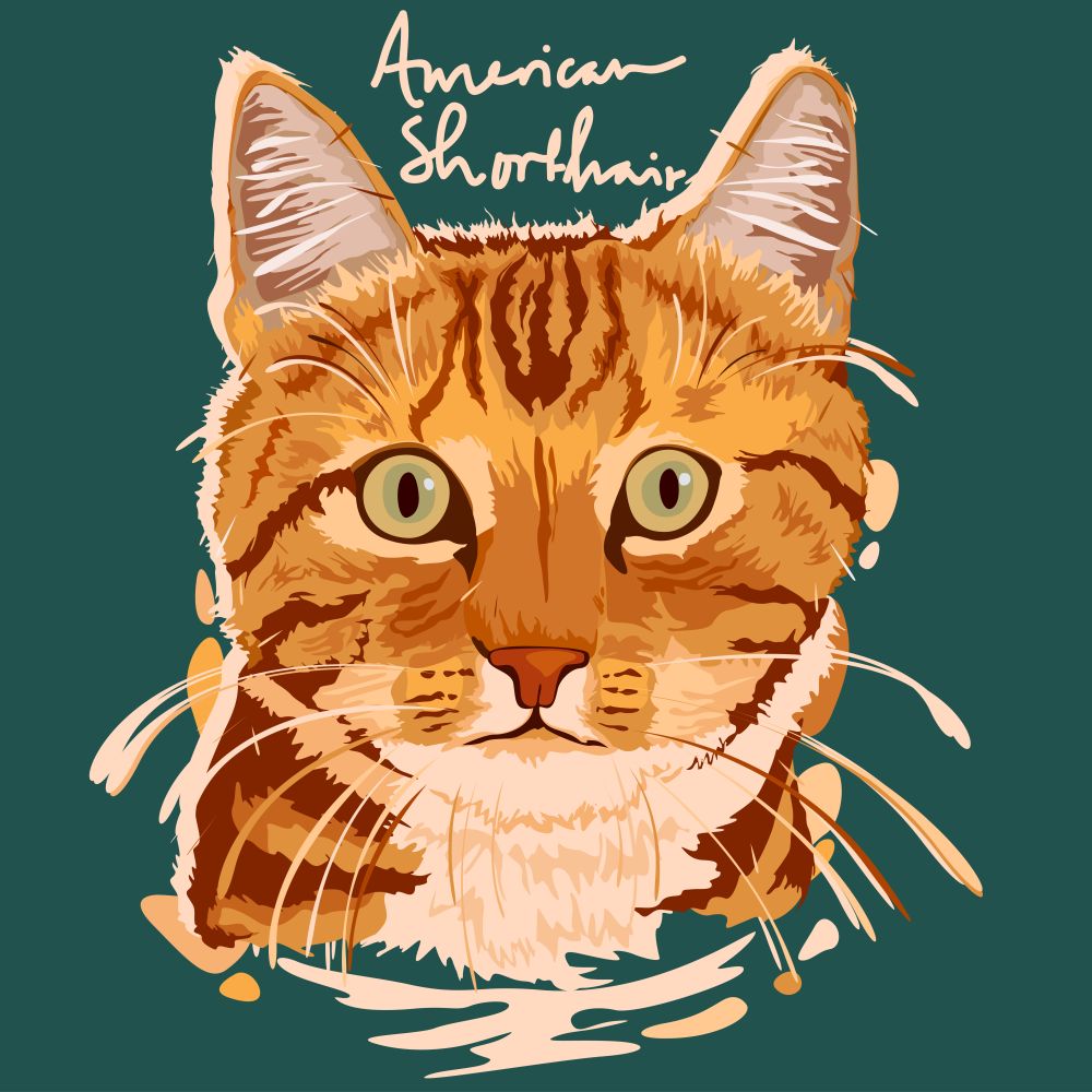 A vector illustration of American Shorthair Painting Poster