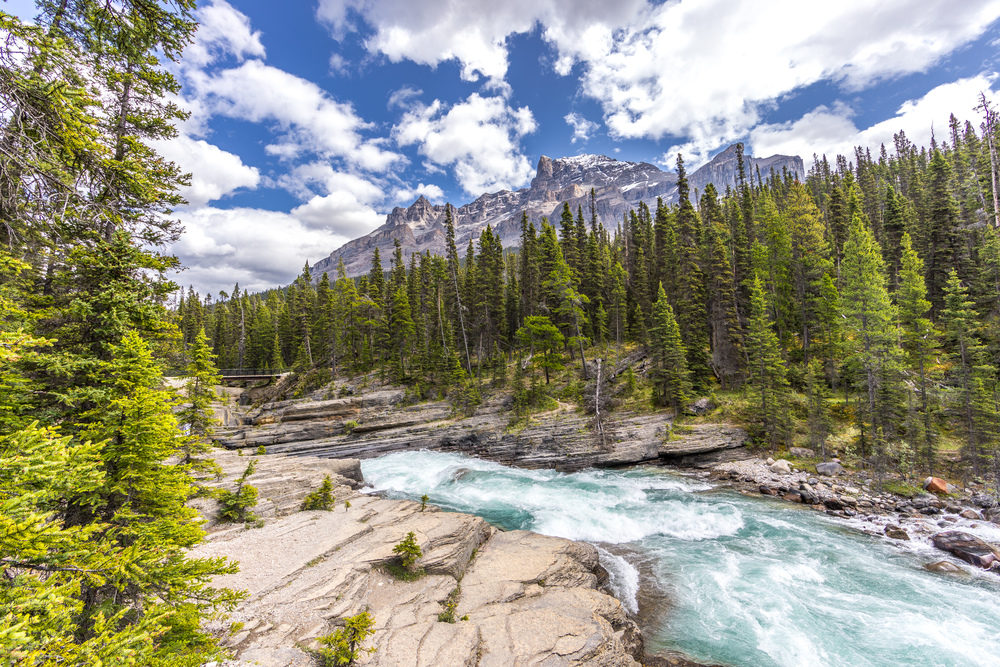 Wild water at Mistaya Canyon at Icefields Parkway, Alberta, Canada