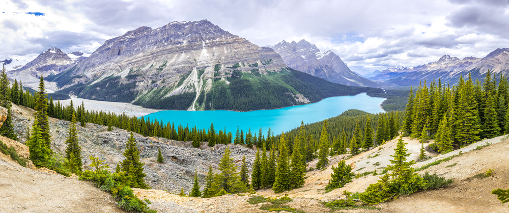 Panorama of Peyto Lake and landscape of Canadian Rocky Mountains