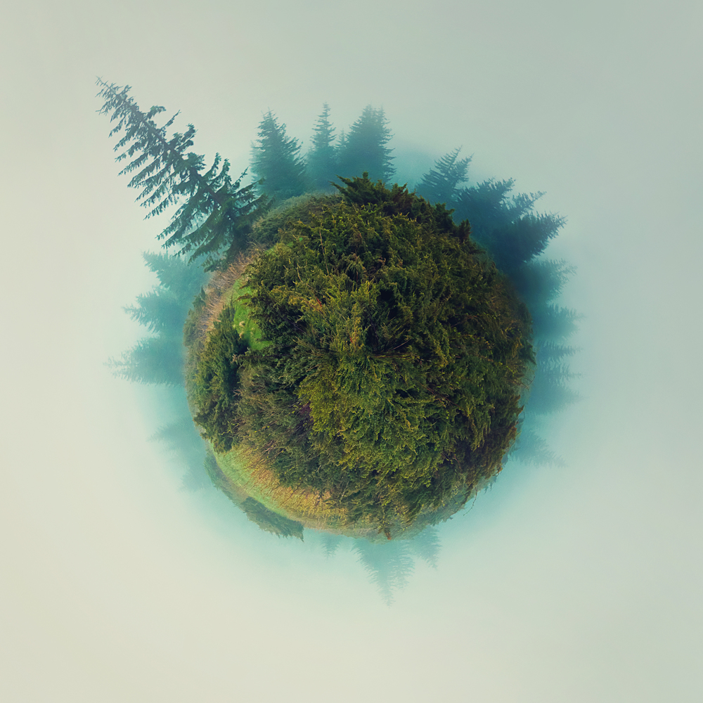 Surreal view, foggy dwarf planet, evergreen forests, mystery globe with growing wild pine and fir trees surrounded by the dense haze with no access for people. Environmental concept, green eco world.