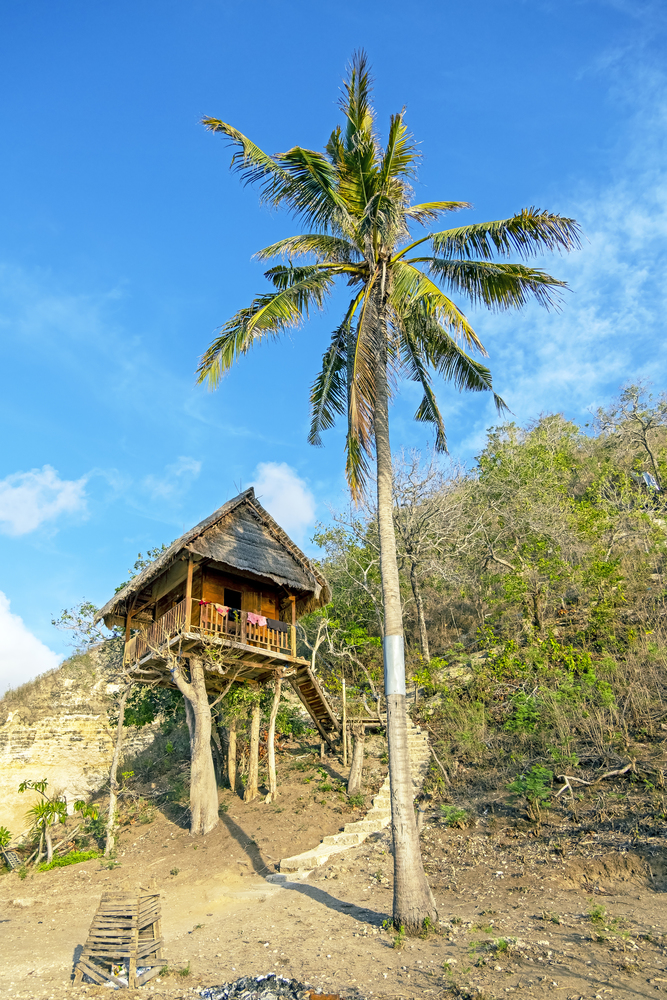 Typical traditional tree house on Bali Indonesia