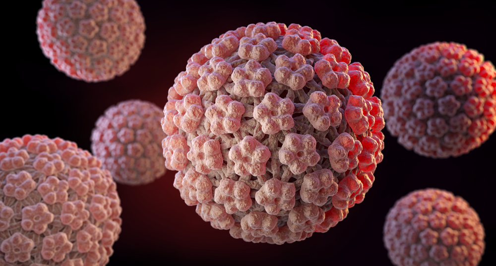 Human papillomavirus (HPV) is a DNA virus from the papillomavirus family. 3D illustration. Papilloma Virus. HPV