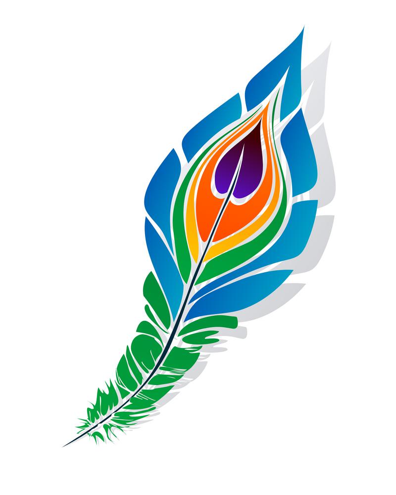 Stylized peacock feather over white background