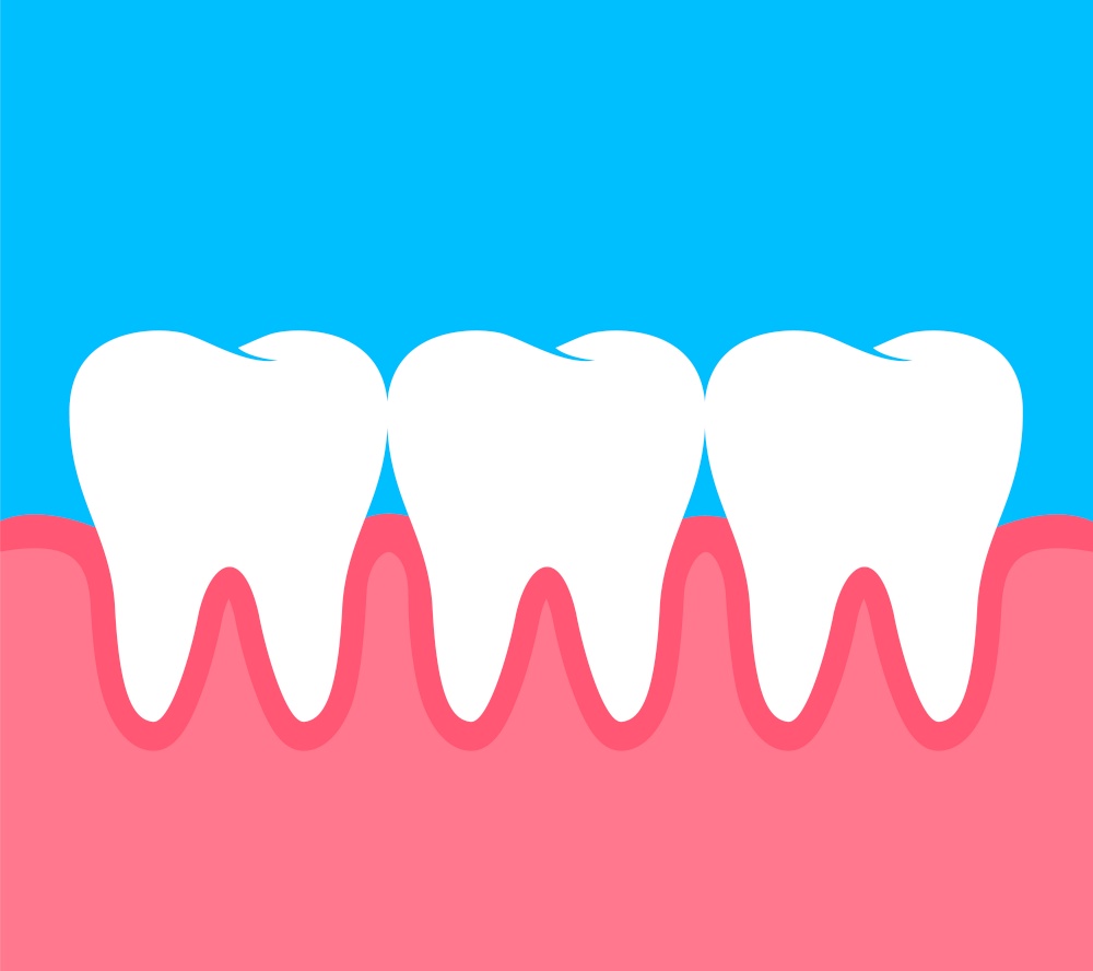 Teeth with human gum, flat style. Dental care concept, illustration.